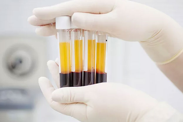 Laboratório — Curityba Biotech